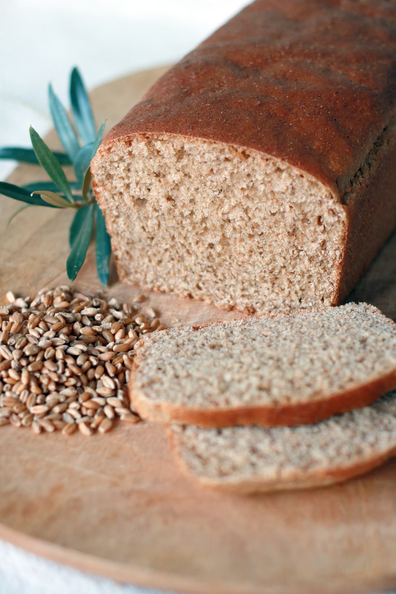 Sliced whole wheat loaf beside freshly harvested wheat berries
