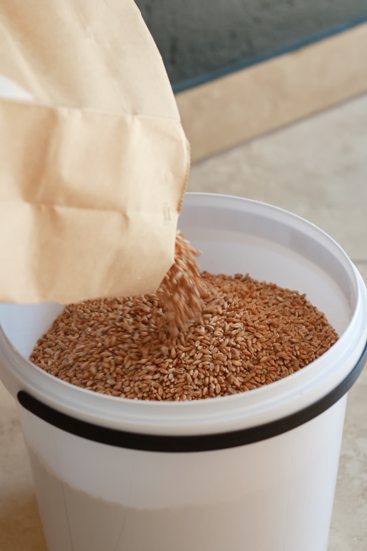 Wheat berries being poured from a paper bag into a storage bucket