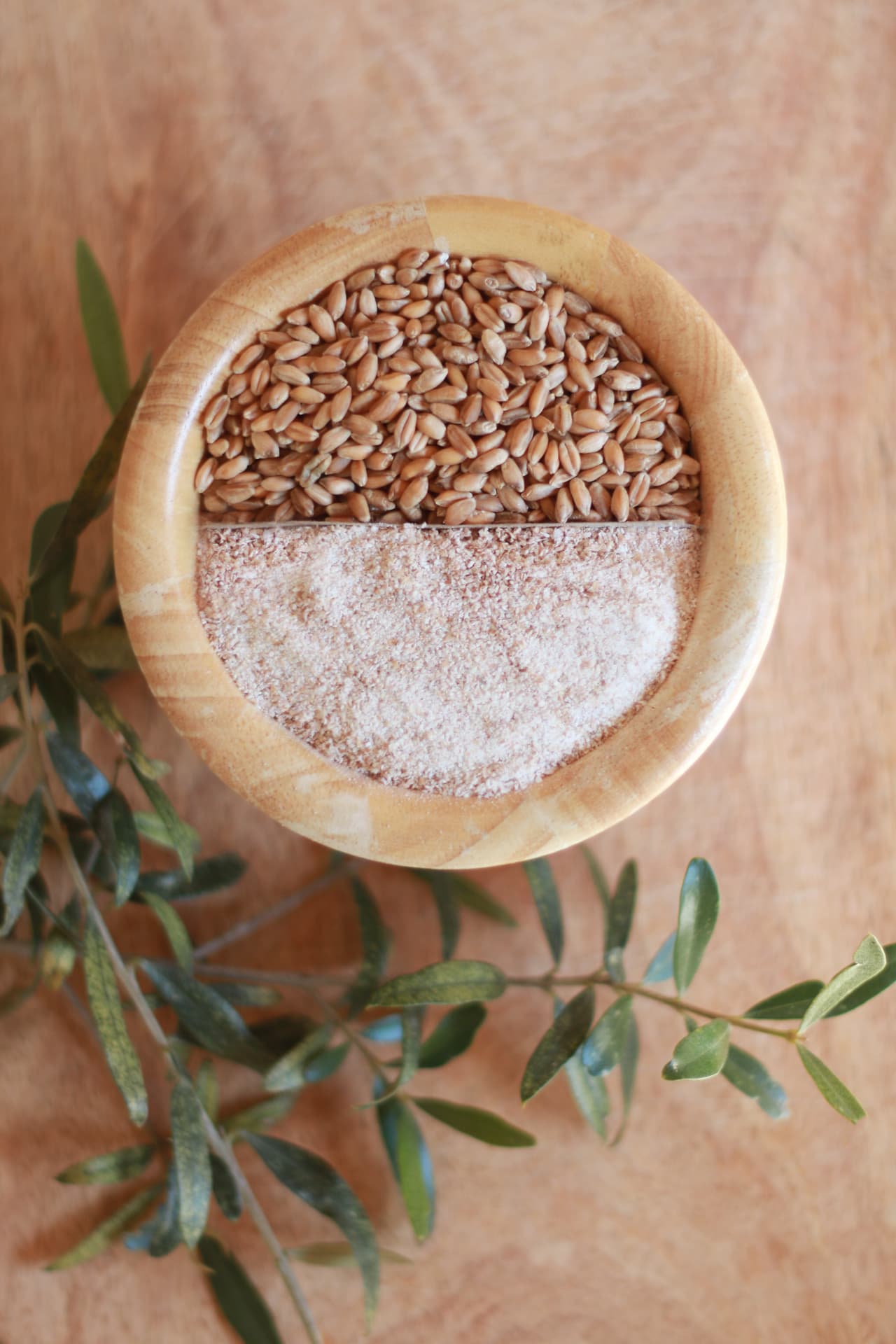 Wooden bowl half filled with wheat berries and half with freshly milled flour